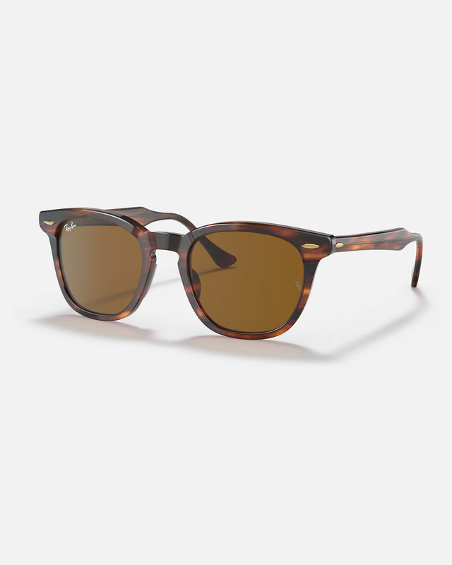 RAY-BAN 805659762676752BROWN 954/33