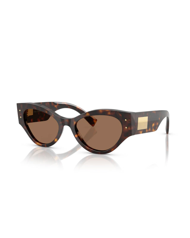 SUNGLASSES 0DG4480 - HAVANA BROWN 0DG4480 -502/73 DOLCE & GABBANA 