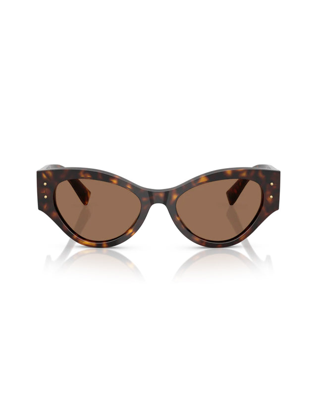 SUNGLASSES 0DG4480 - HAVANA BROWN 0DG4480 -502/73 DOLCE & GABBANA 
