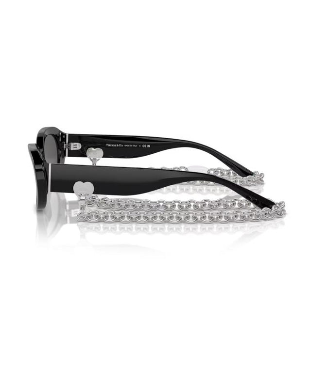 TIFFANY & CO. 0TF4221-8001S4