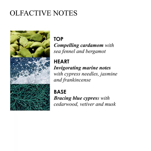 BLUE CYPRESS & SEA FENNEL HAND CARE COLLECTION