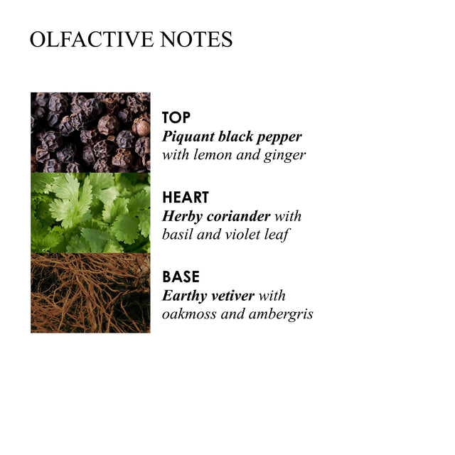 RE-CHARGE BLACK PEPPER BODY LOTION