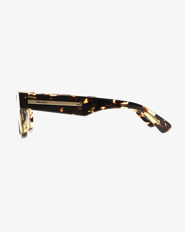 SUNGLASSES 0PR 25ZS - BLACK MALT TORTOISE 0PR 25ZS 16R30F PRADA 