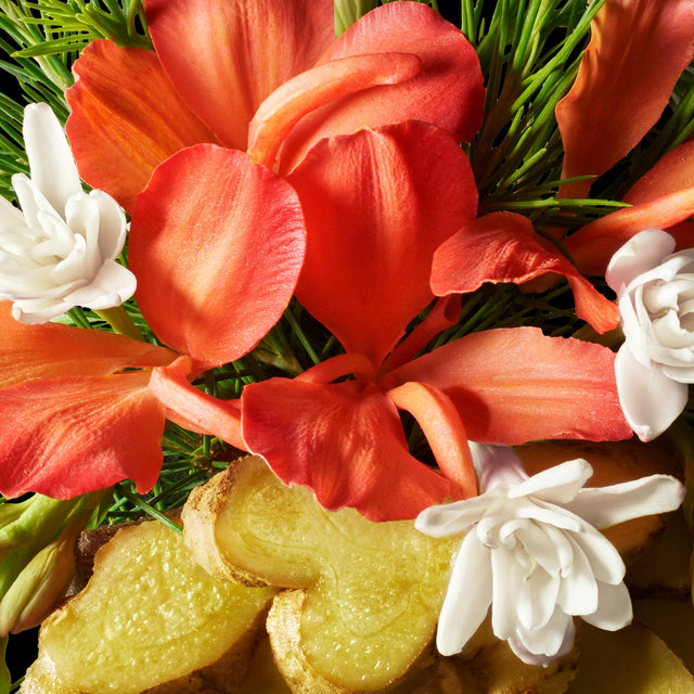 HEAVENLY GINGERLILY BODY LOTION