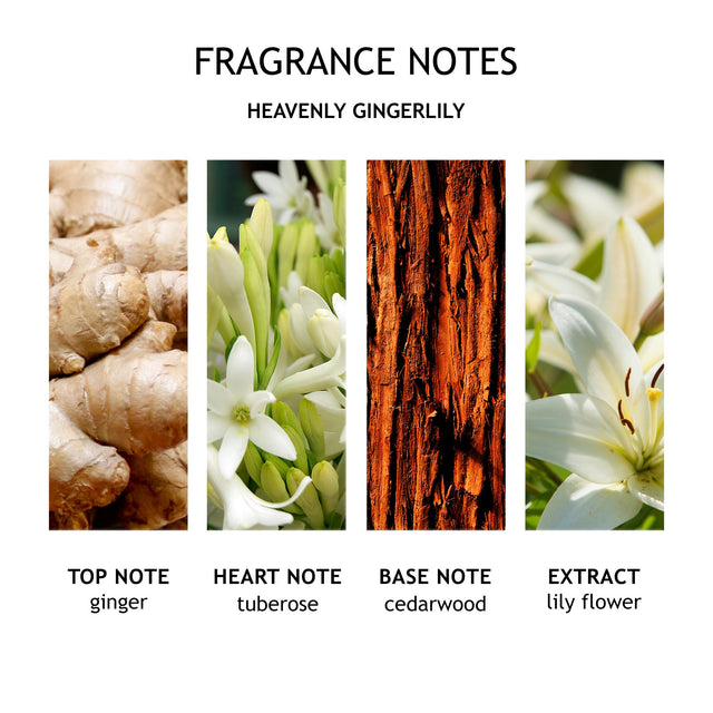 HEAVENLY GINGERLILY BODY LOTION