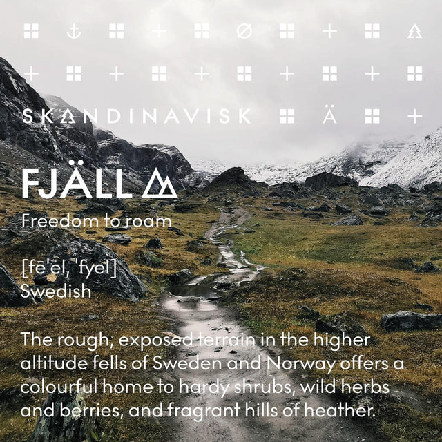 FJALL SCENT DIFFUSER - 200ml 5711868203117 200ML SKANDINAVISK 