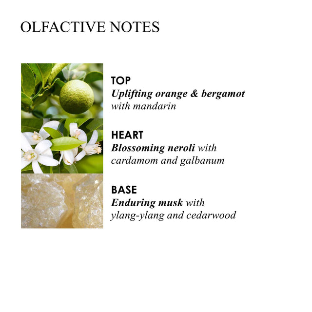 ORANGE & BERGAMOT BODY LOTION