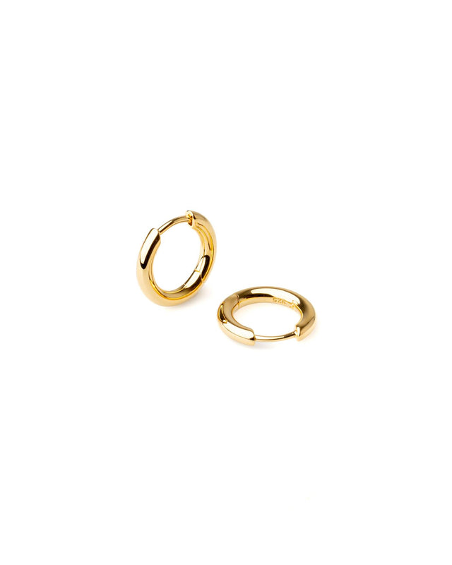 CLASSIC HOOPS SMALL - GOLD 100194 -GOLD TOM WOOD 