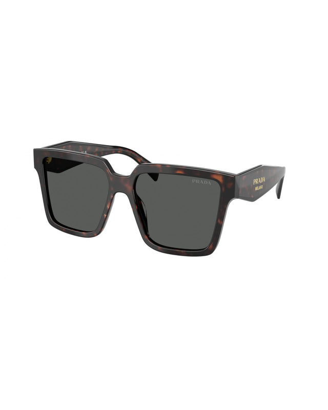SUNGLASSES 0PR 24ZS - ROOT TORTOISE