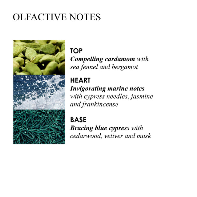 BLUE CYPRESS & SEA FENNEL BATH & SHOWER GEL
