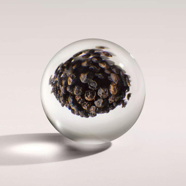 RE-CHARGE BLACK PEPPER AROMA REEDS